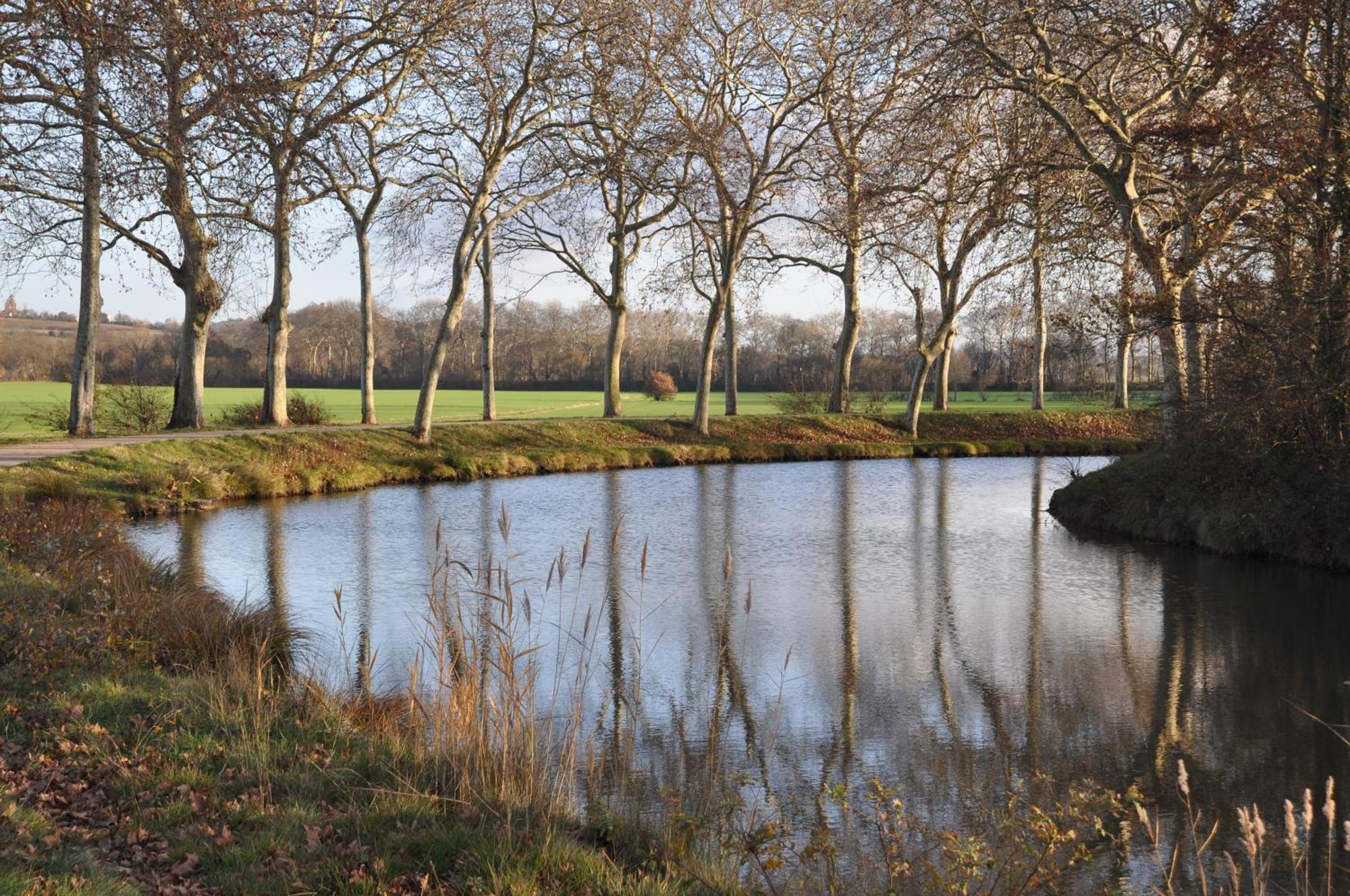 Domaine De Hurlevent Montgaillard-Lauragais Dış mekan fotoğraf